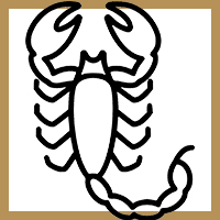 Scorpion Horoscope