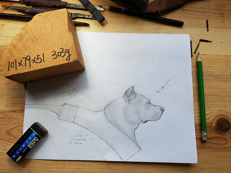 Le projet de Rafael Arzuaga : sculpter un chien dans le bois